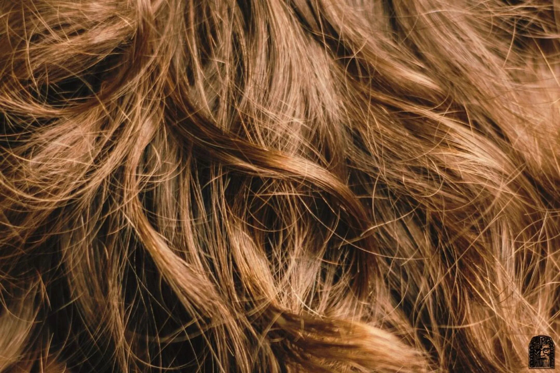 Hair