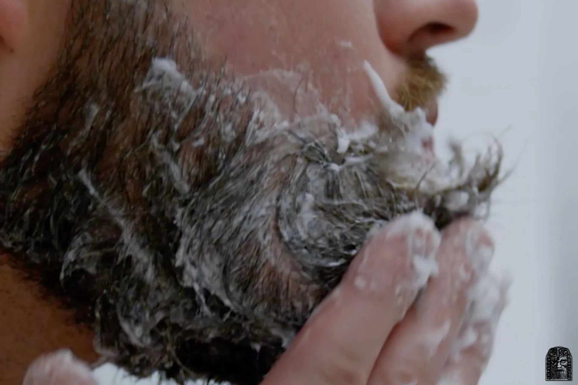 Exfoliating beard