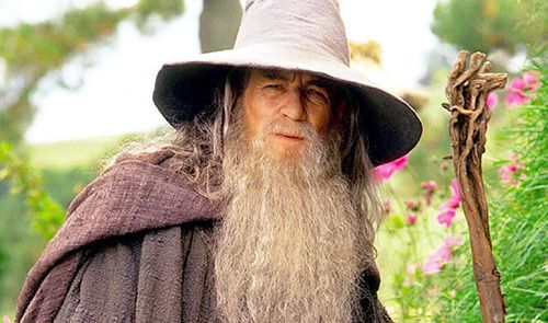 An extremely long wizard-style beard inspired by Gandalf from Lord of the Rings
